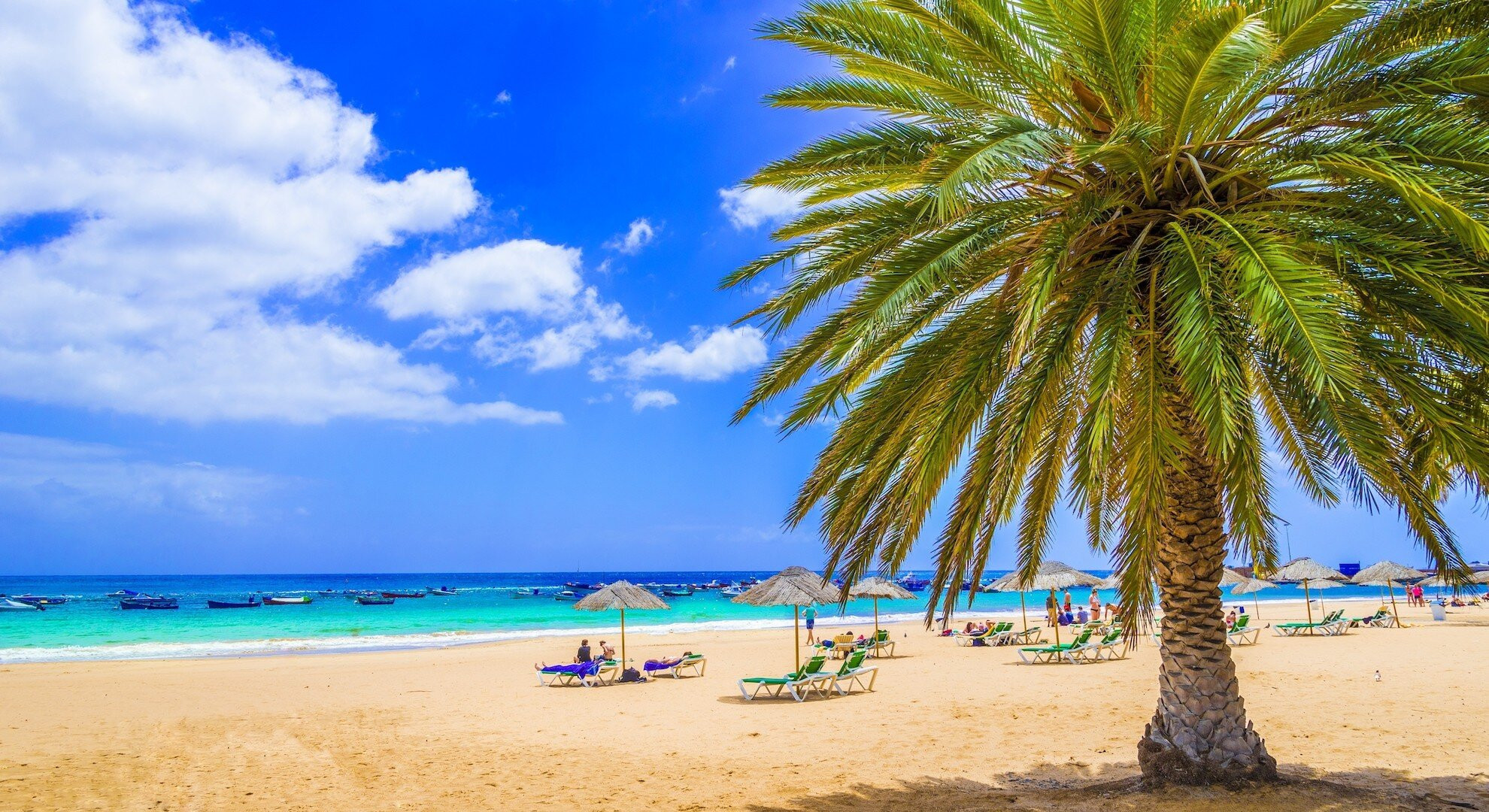 Canary Islands Holidays 2020/2021